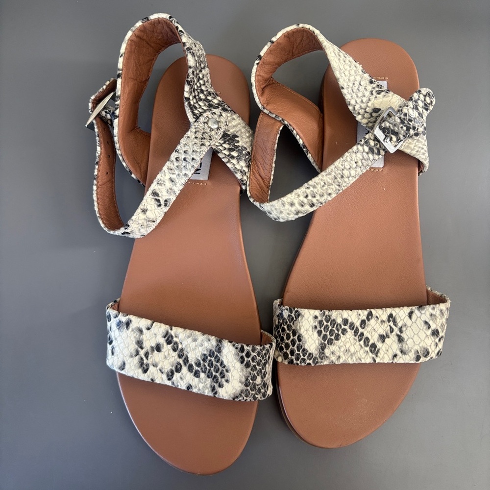 Steve Madden Dina Women’s Snake-Print Ankle Strap Sandals - Cream/Black